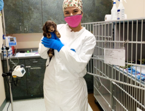 A person in a dog kennel with white protective gear and a pink mask holds a brown puppy